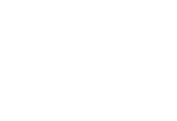 Auto China Connect